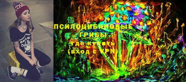 СК Верхний Тагил