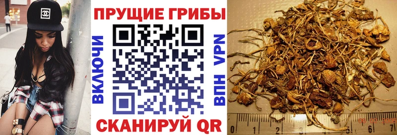 продажа наркотиков  Камешково  Галлюциногенные грибы мухоморы 